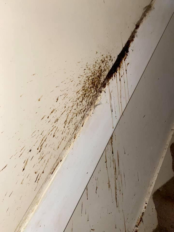 222FE4A4-9A61-4C09-9412-F36F6F0414E3