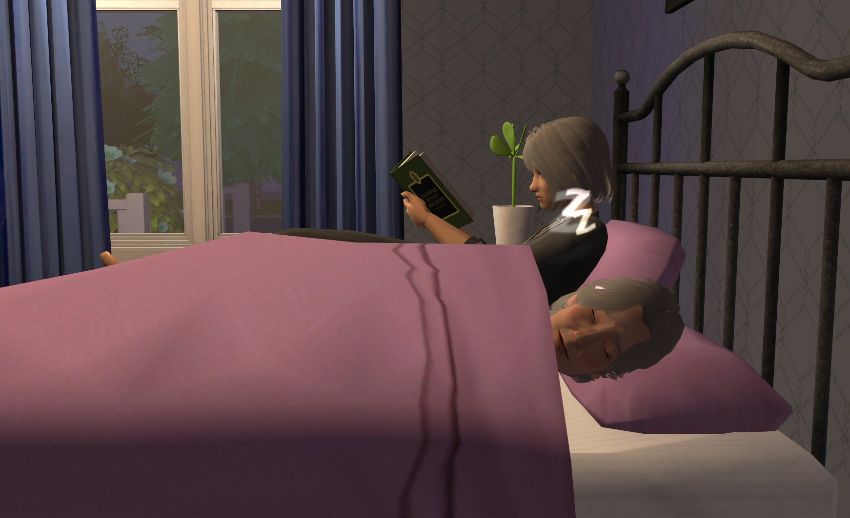 Sims2-EP9-2020-11-09-20-16-45-35