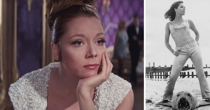 NI9grxkpSqMHC69hU6fq7ZuOzLdD8CeBSC6BvAdoHVrVp6AAF4_NXOqlARRKxC6LE2qHVlp2VKdWyLp6gBy5eF4H