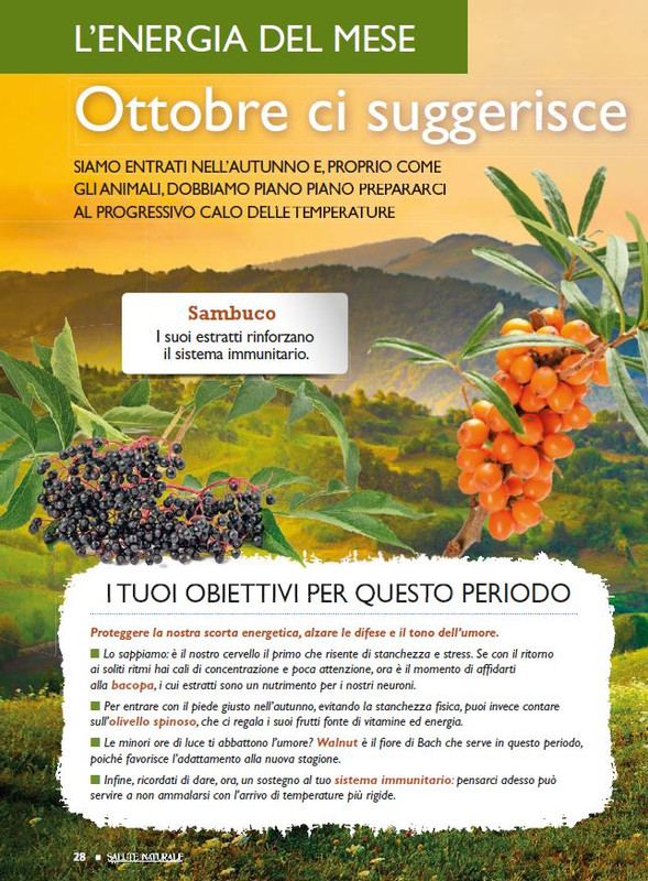 Sal Nat  Ott 2024 (1)