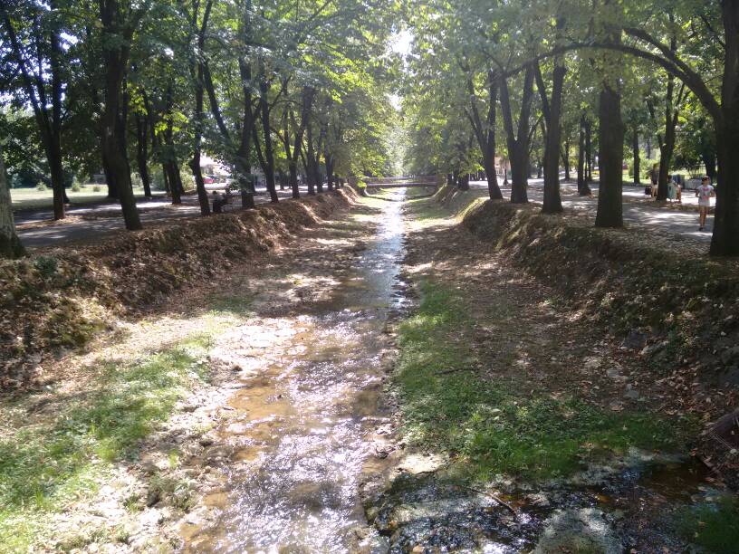 Slika