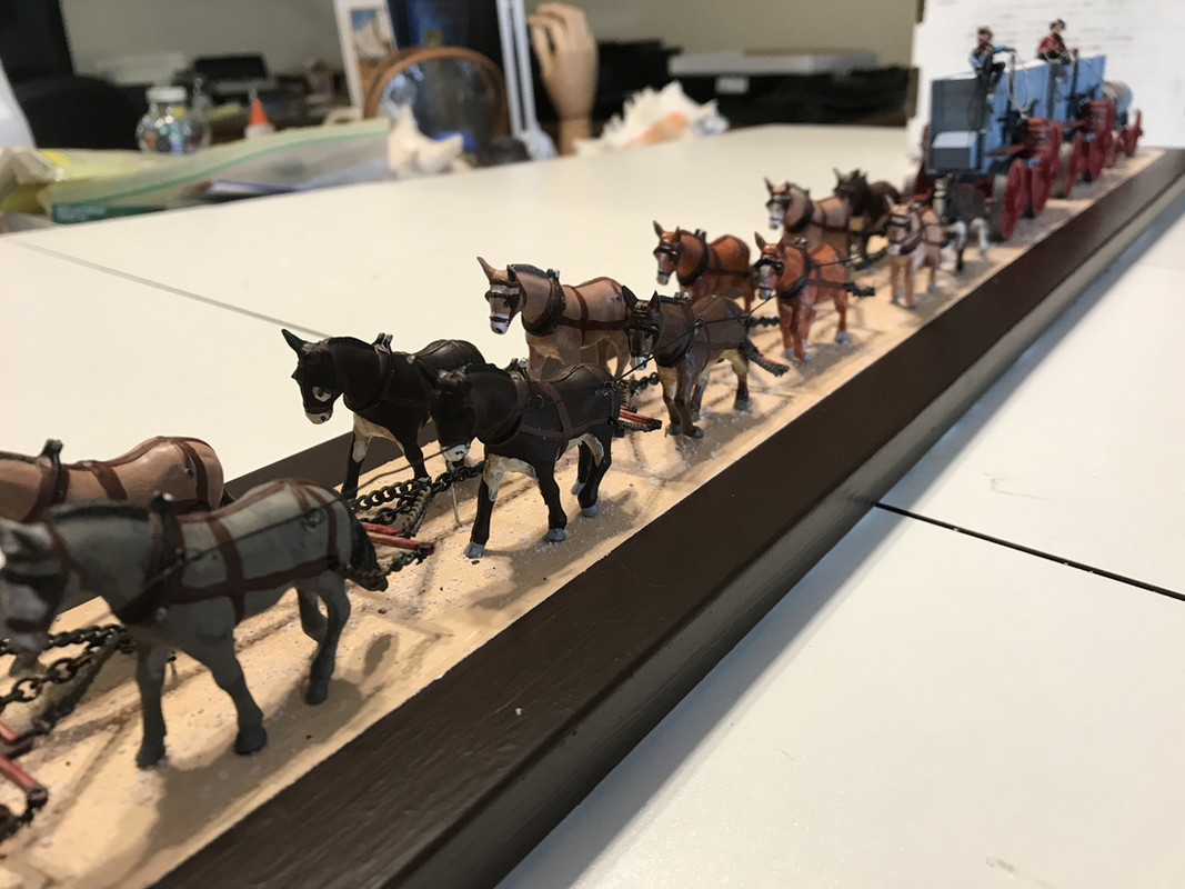 20 Mule Team 4