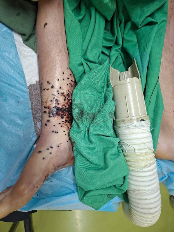 IMG 20260208 081529 273