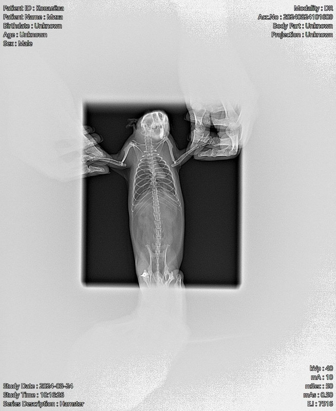 photo_2024-12-16_14-10-50 (2)