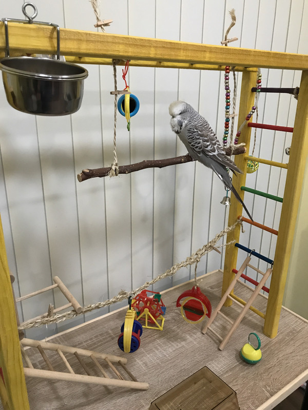 59328409852__623E159E-DB26-4F79-9977-536CDF632B95