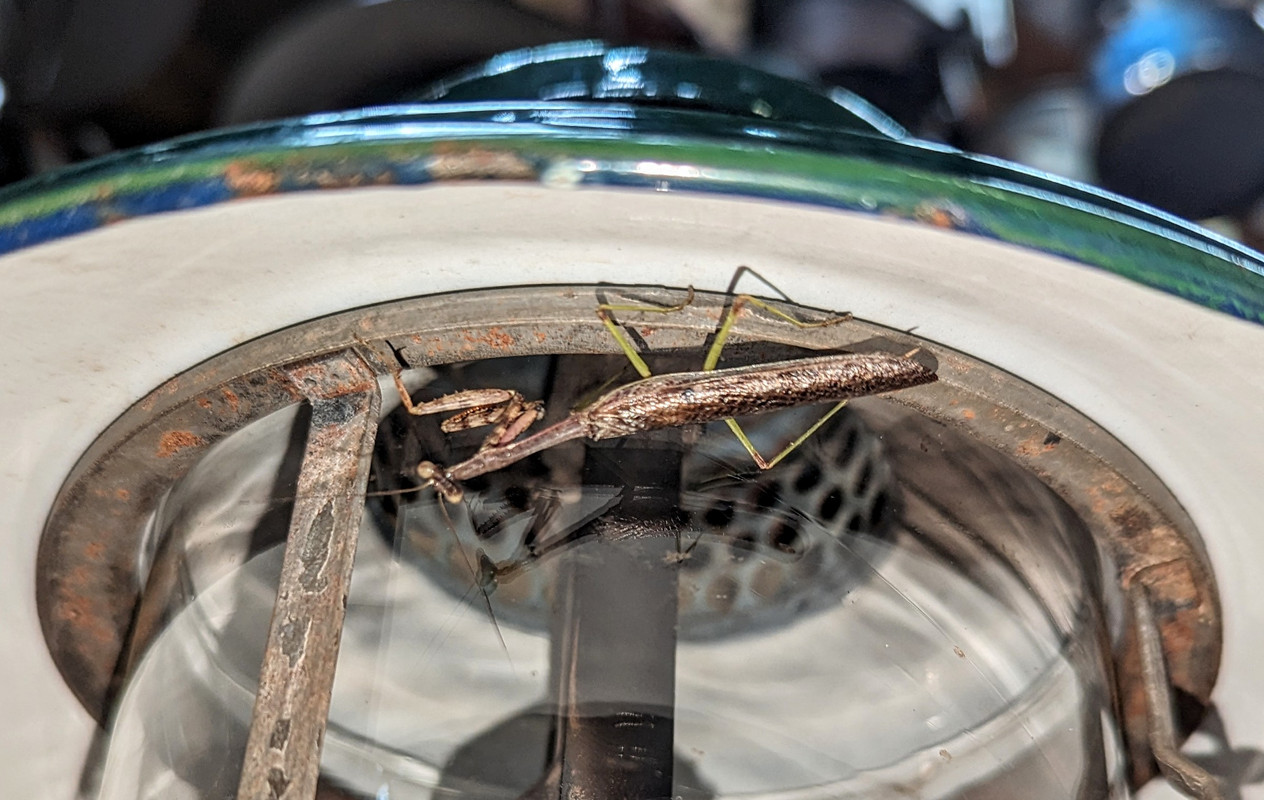 PXL_20231006_200701037~2