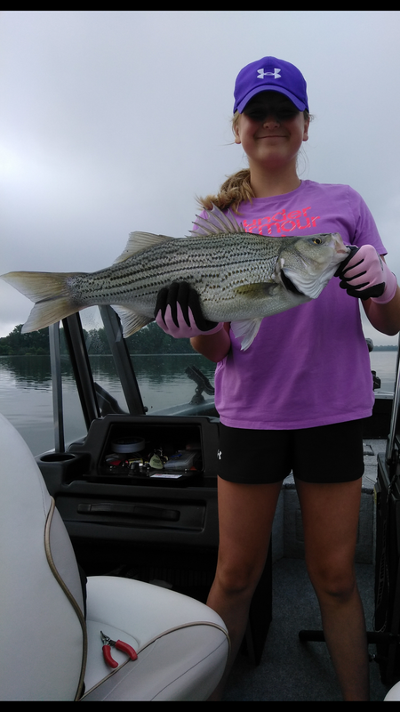 Screenshot_20180728-205350