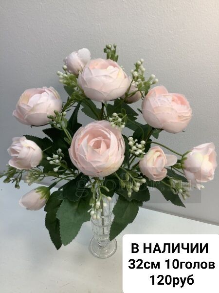 https://i.postimg.cc/HkxcRrWZ/IMG-20240409-081400.jpg