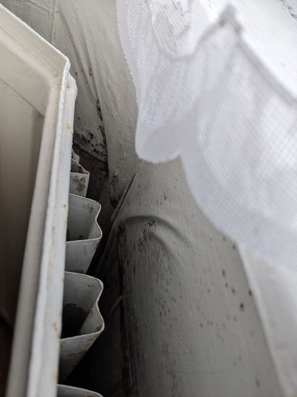 PXL 20260312 100641651