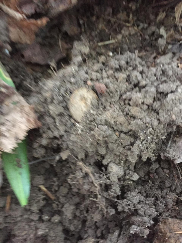 32F78610-84D3-457A-8BB9-92AB17B8373F