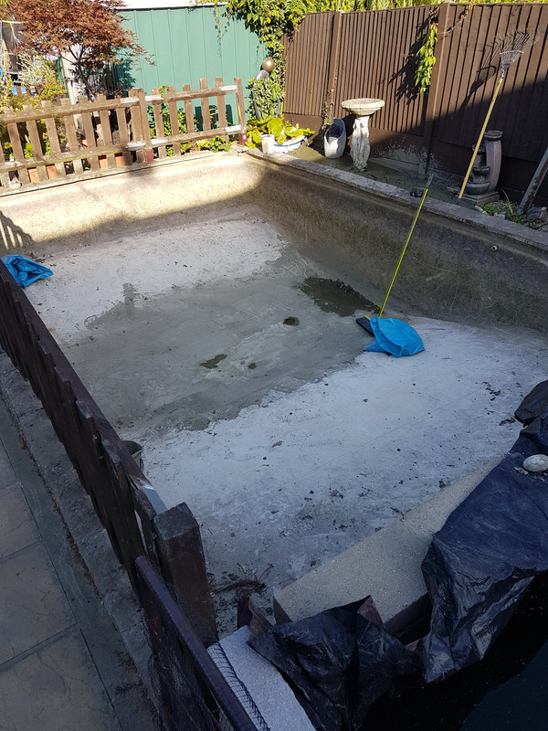 15313280989296163222502416124811