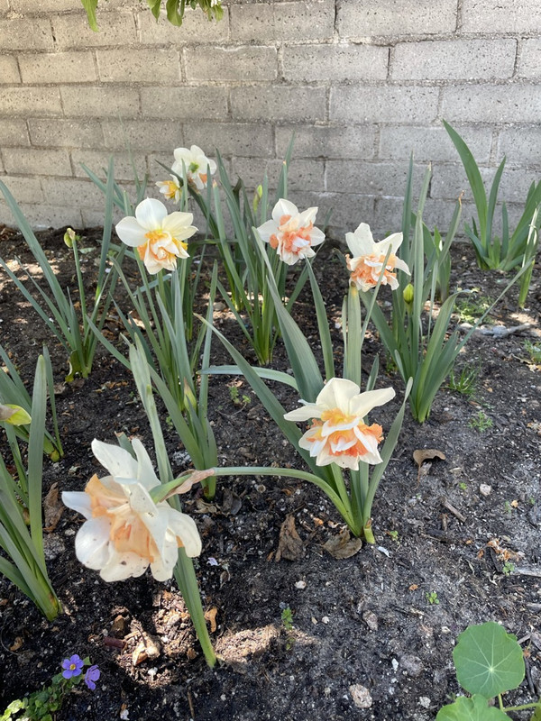 3EE8D2B1-63E0-43A1-9666-9B89C465A092_1_105_c