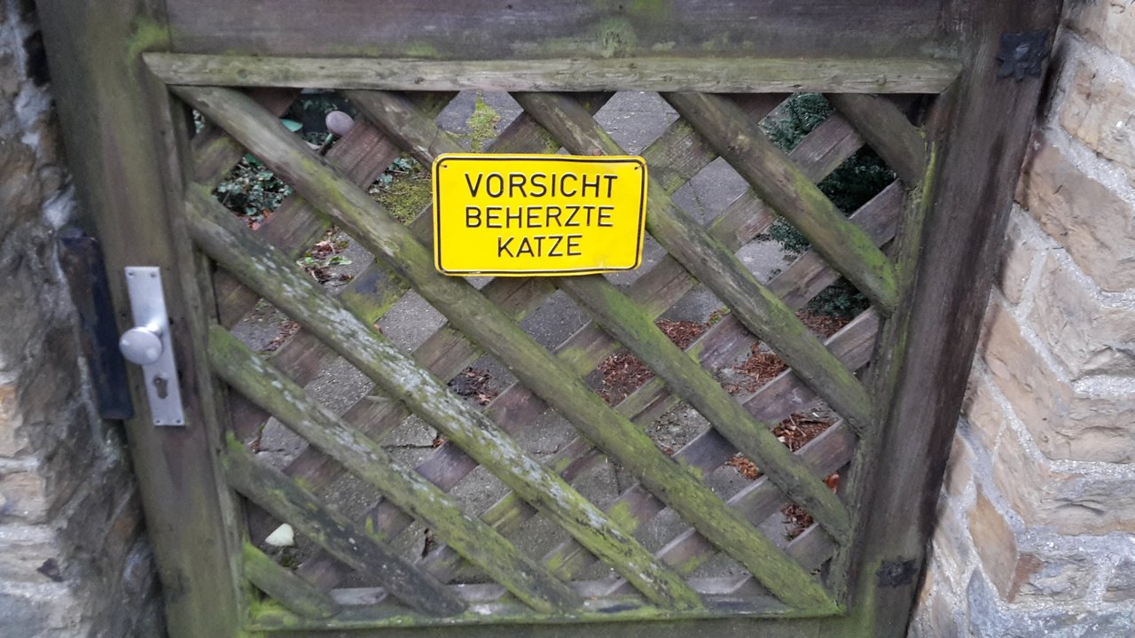[Bild: 20241210-094454-1.jpg]