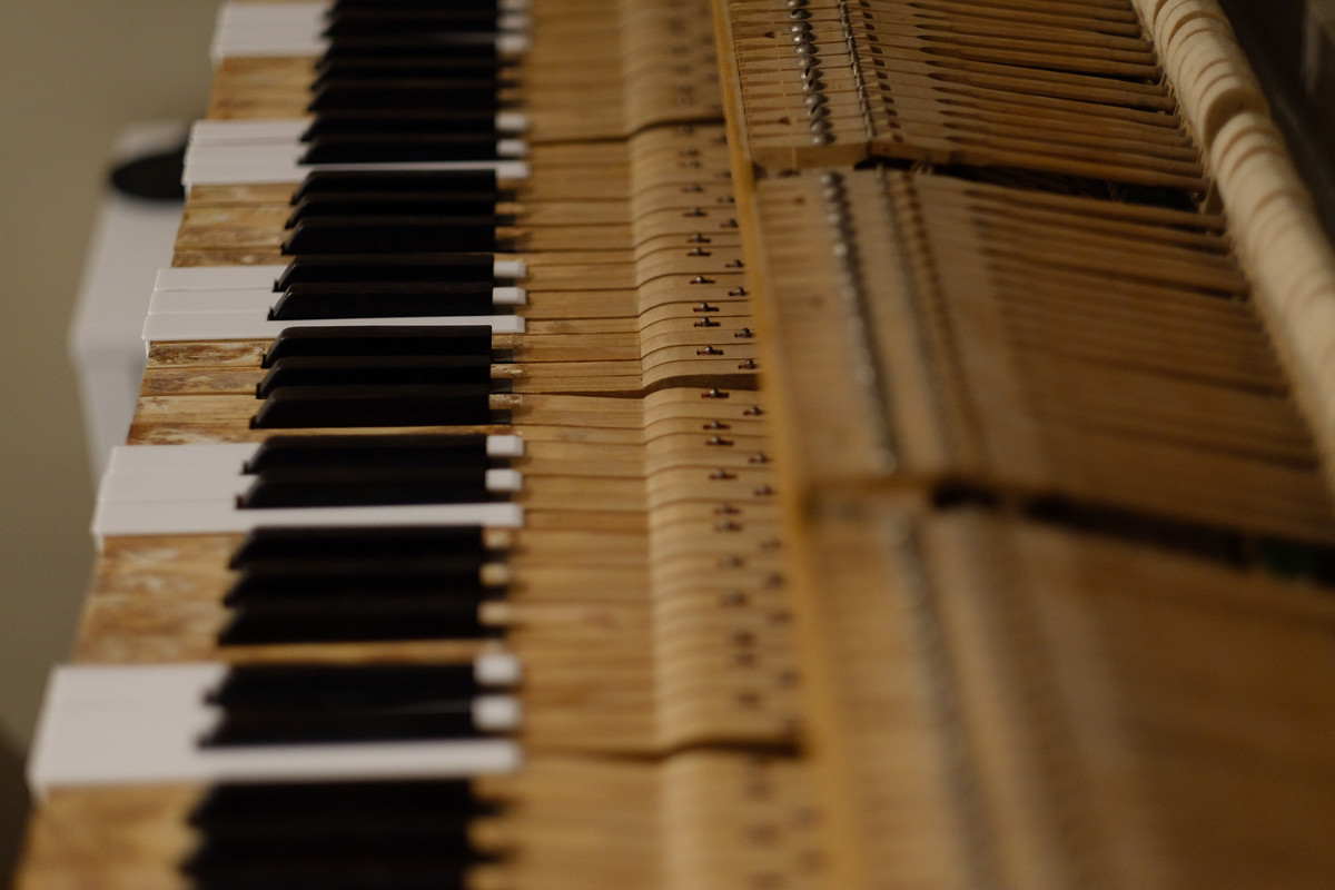 03221B4F-4990-4CD1-B779-00E3D2D85B4B