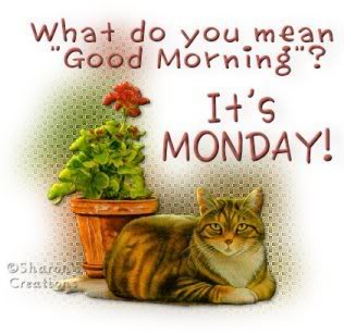 Monday-Good-Morning-Cat