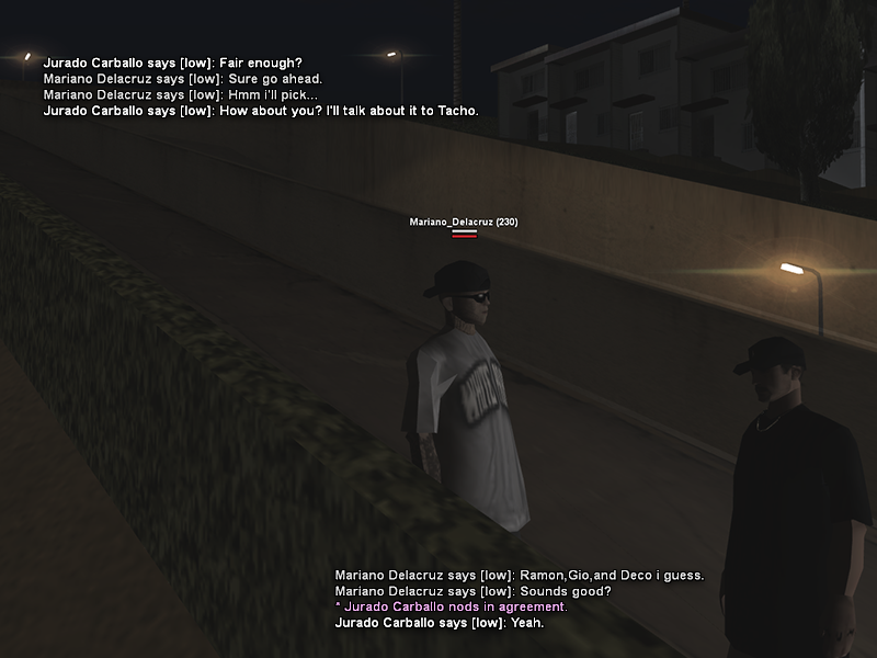 SS3.png