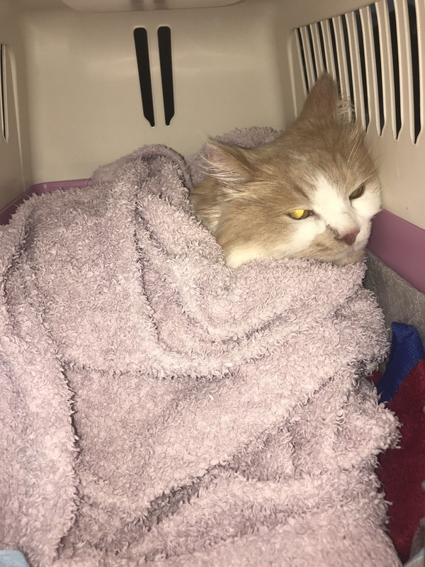 7CDB5987-016B-4EBC-9EF1-3209EF37B4A4