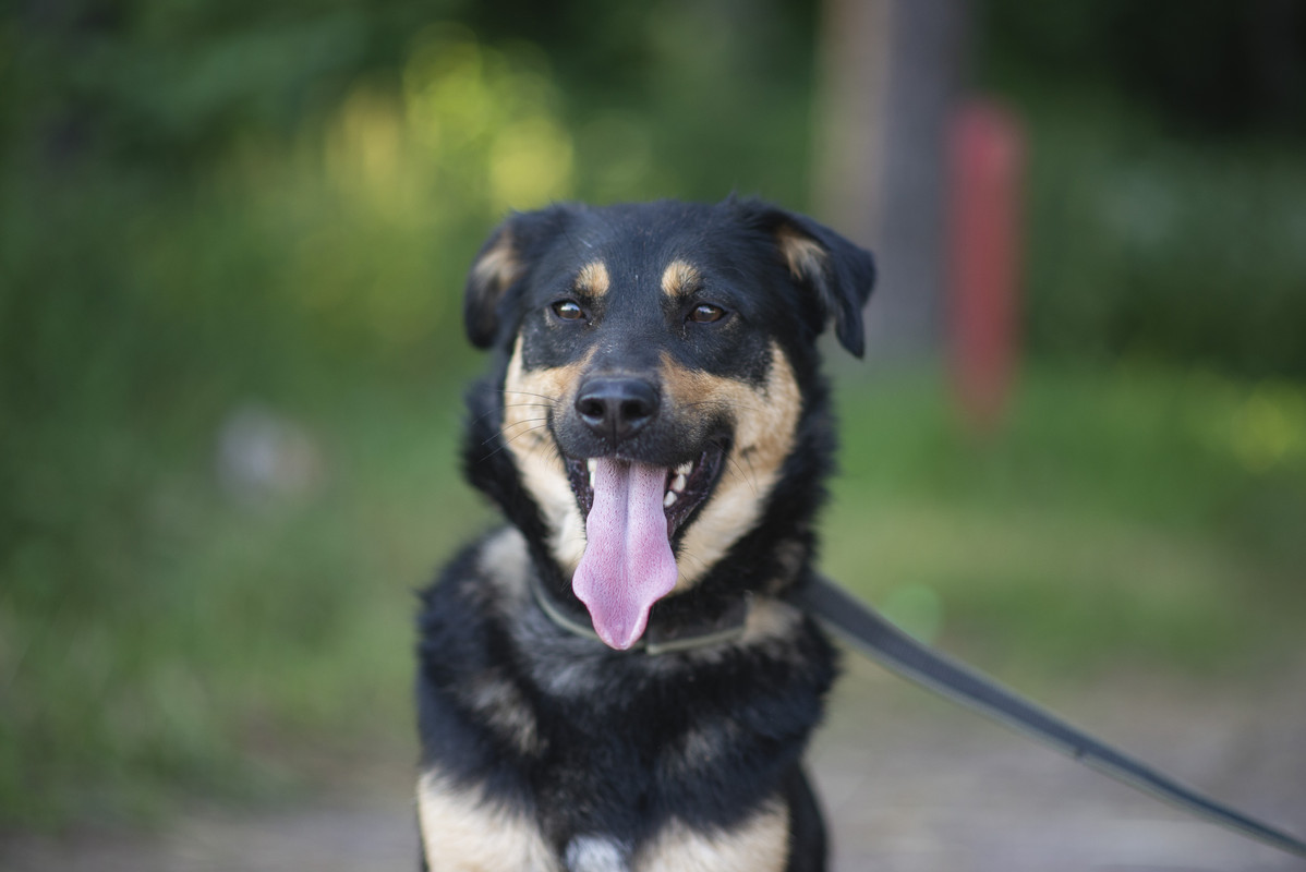 610_1211_витебск