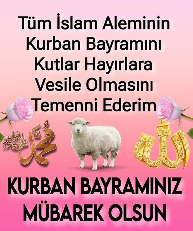 FB_IMG_1718484395963