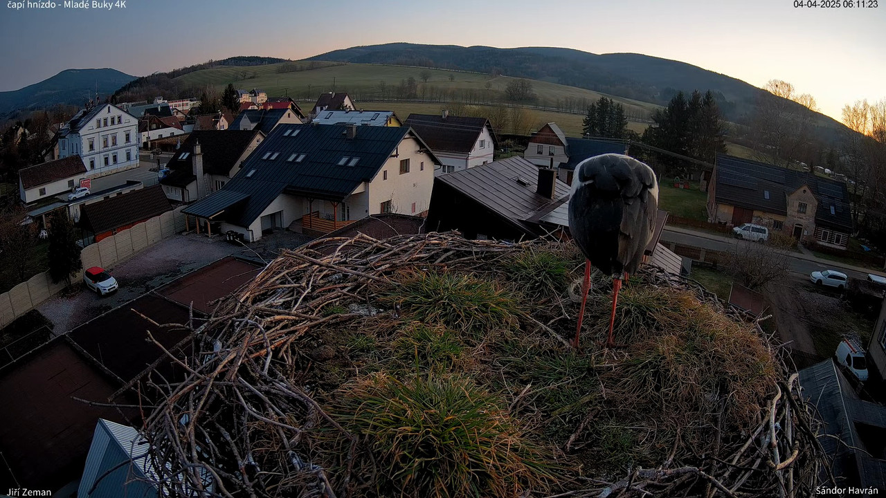 Živá kamera - Mladé Buky - čapí hnízdo 4K 9-19-28 screenshot
