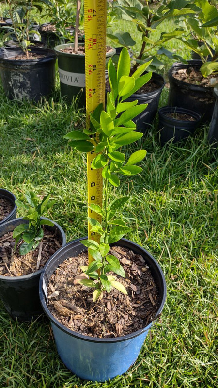 photo_2025-07-23_09-30-07 (4)