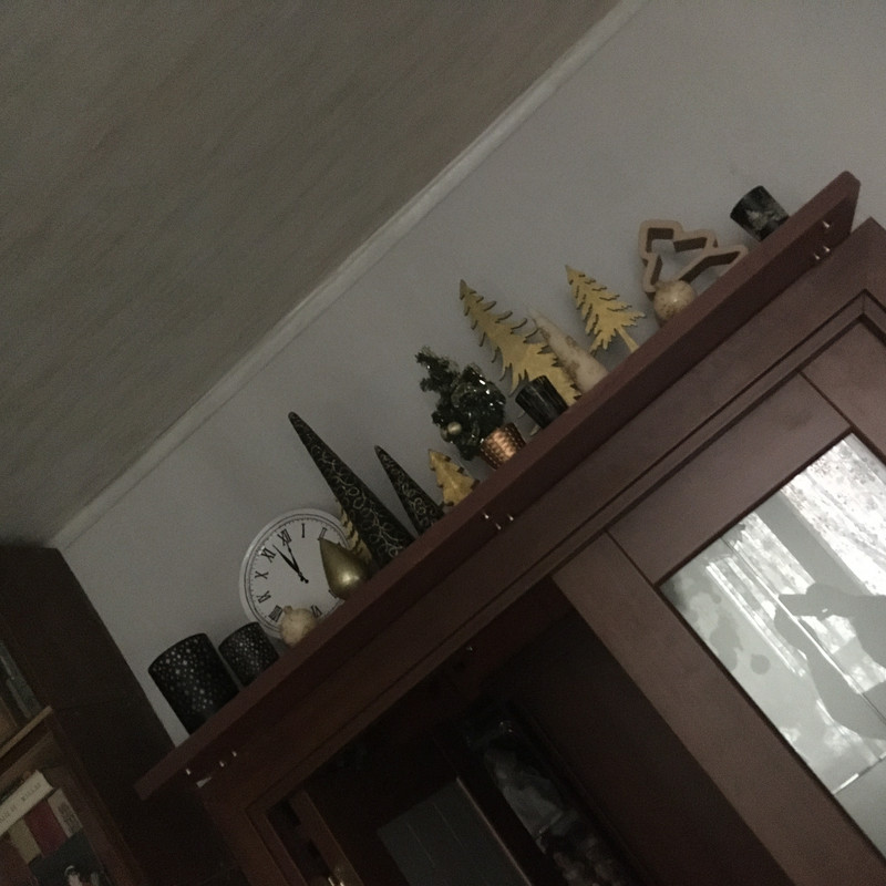 Разное Тимура Фрунзе, 20 Анина и посленовогоднее домашнее 014