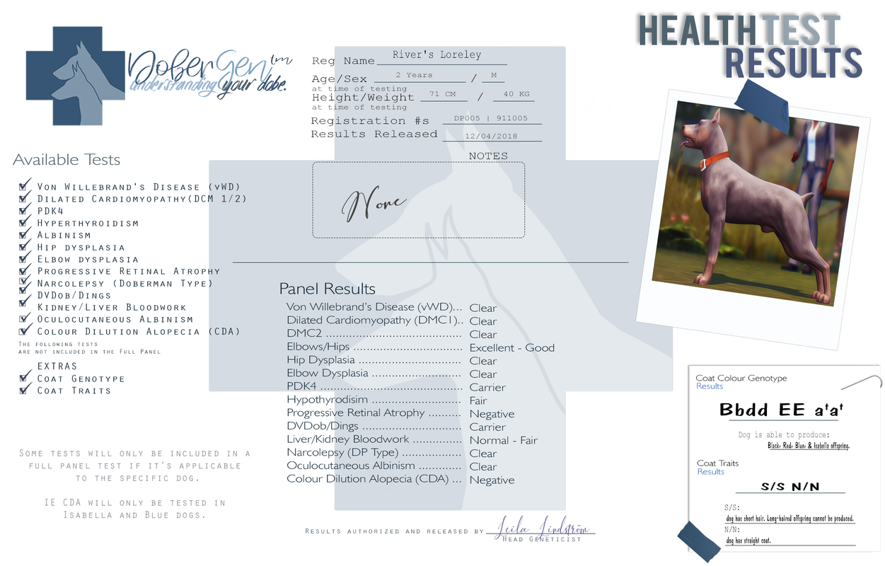 Breed Stability Test Sims International Kennel Club