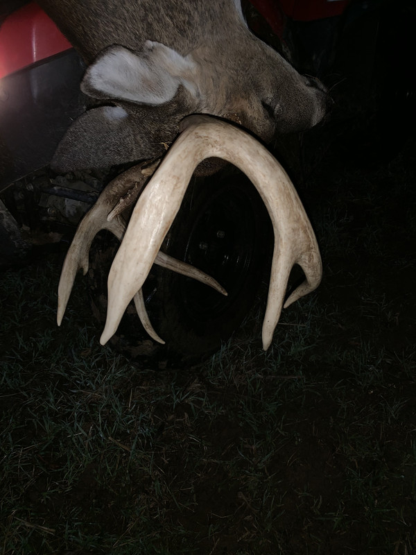 6B074F9C-3E69-493D-8982-EA1920C5B056