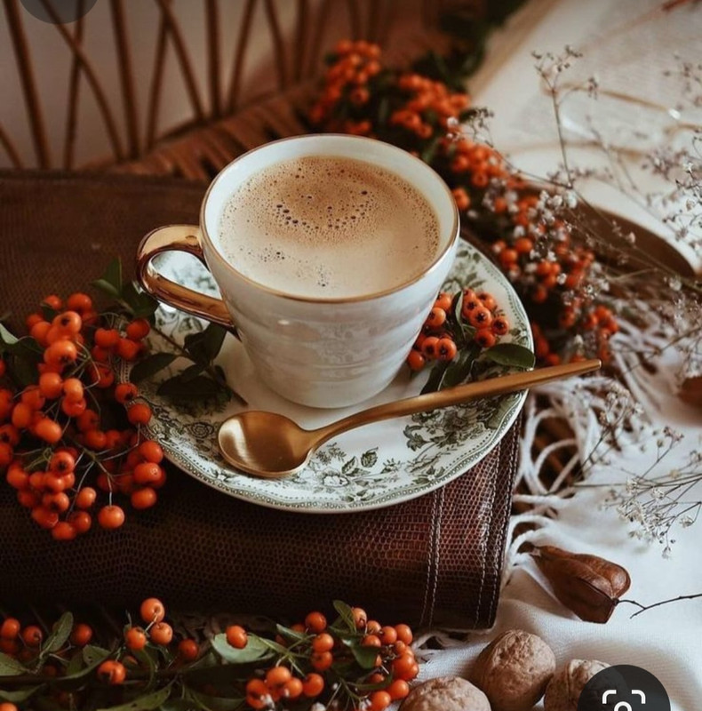 Screenshot_20230909_233436_Pinterest