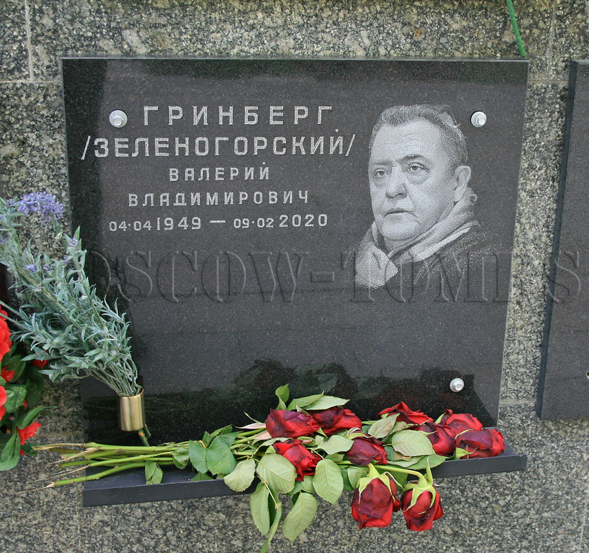 zelenogorsky-vv