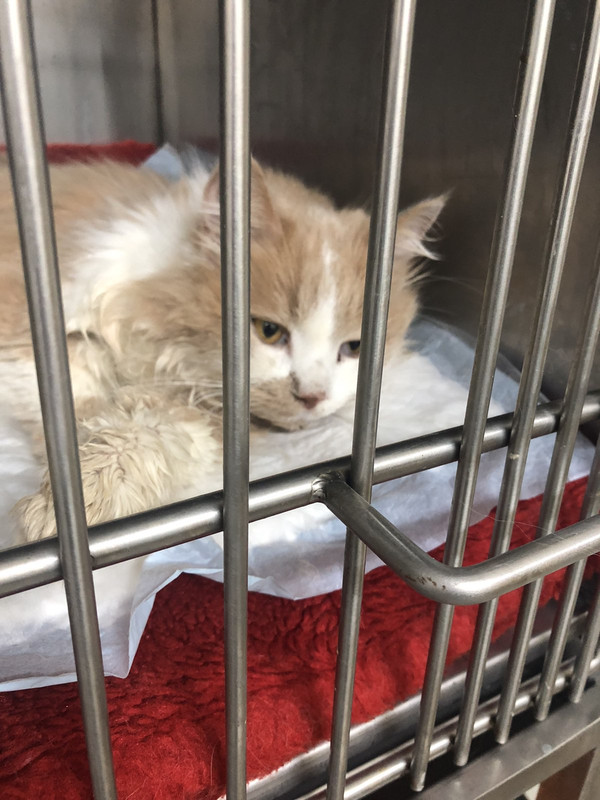 в стацике 091019_2