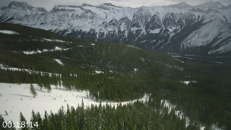 [Image: 1ke03c5epsuj.png]