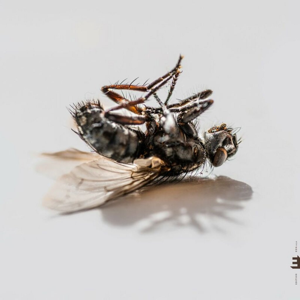 [Image: v2p3wjbt5s6w.jpg]