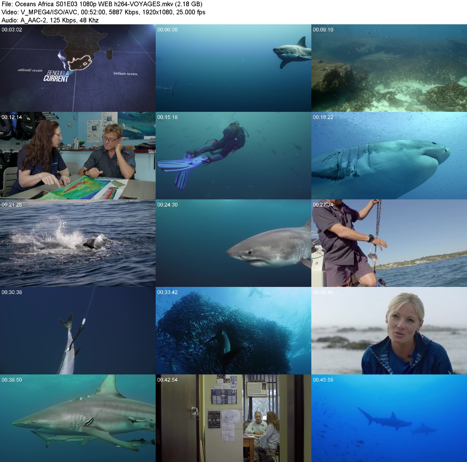 [Image: 6f7ss4bd6ayv.jpg]