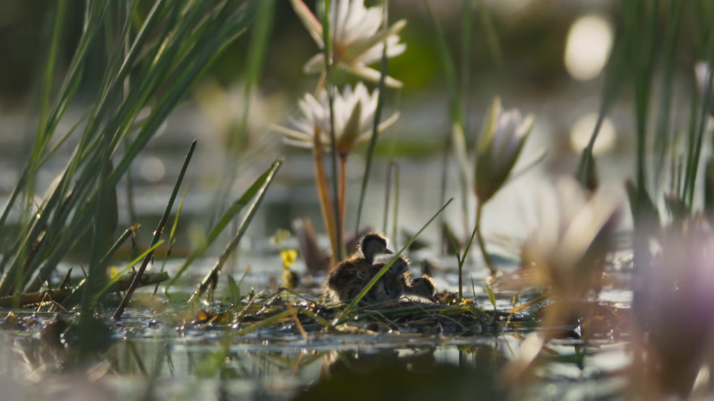 [Image: r3k3j9no8oqt.png]