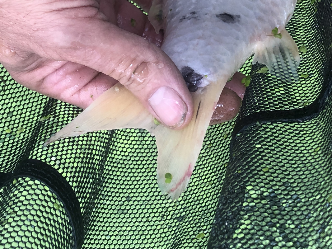 EF380884-F073-4FF7-A71F-F5907D89794C