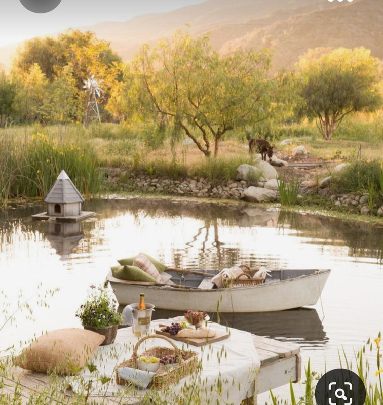 Screenshot_20230928_182853_Pinterest