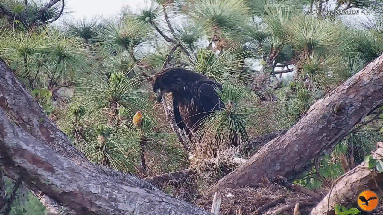 Webp.net-gifmaker (1)