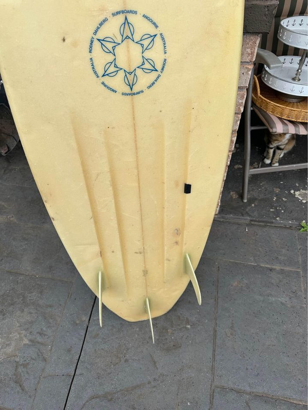 412050635_6779865302110717_6056300654581144346_n