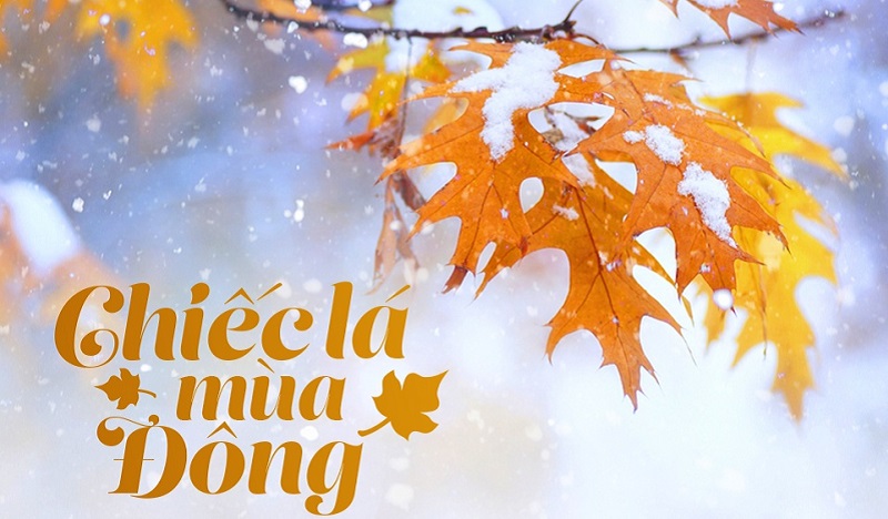 [Image: Chi-c-L-M-a-ng.jpg]