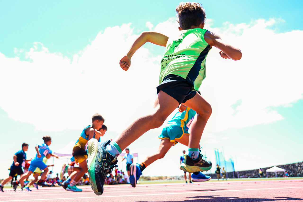 Canary Run 48