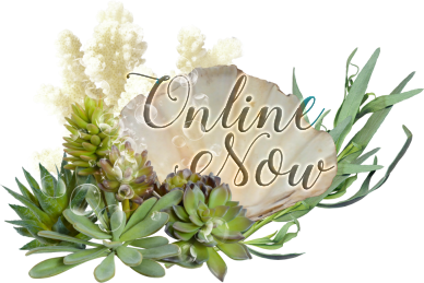 Who is online?