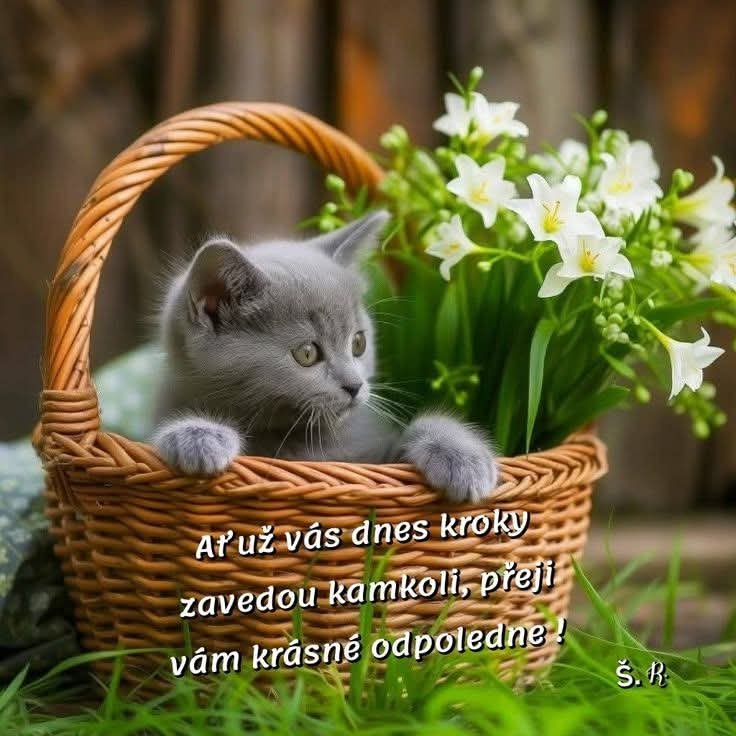 1ec31605-f450-4fbc-ae51-cbe0575fa3e9