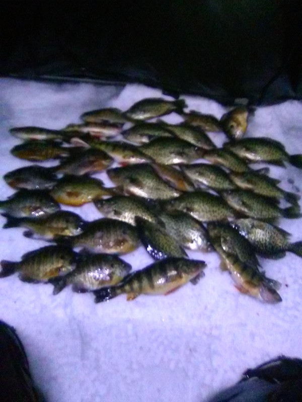 good crappie day