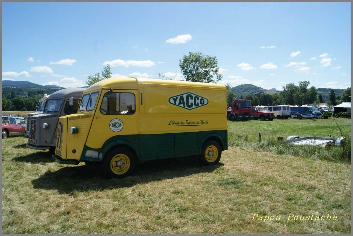 ob_d7b748_dsc05806-gf[1]