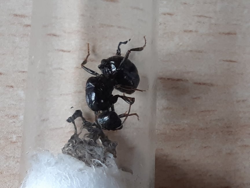 45566989_2208594542793677_801896335765667840_n