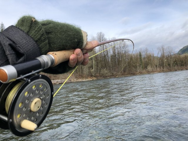 EEC0FDDB-8D83-4977-838E-3981ED8DE614_1_105_c