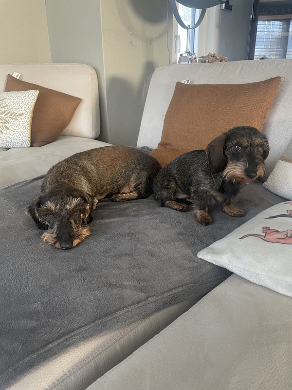 [Image: IMG-6028.jpg]