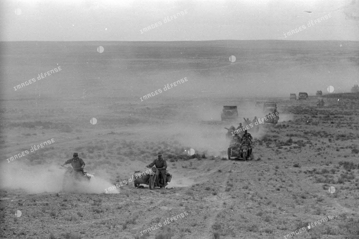 Side-cars qui roulent dans le désert 1941 (12)