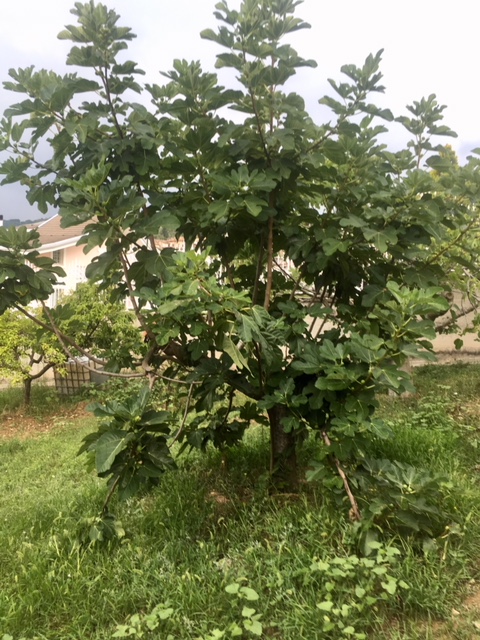 05EF9A8F-8A86-48AC-AE71-9E75F271A1A6